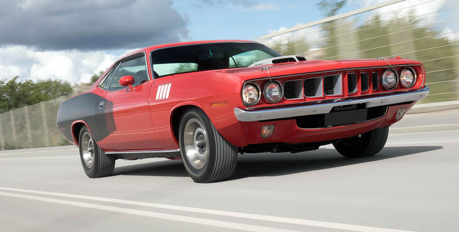 Barracuda